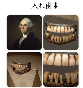 仙台市宮城野区のしらとり歯科医院が解説する、初代大統領ジョージ・ワシントンの入れ歯エピソードと現代のインプラント治療