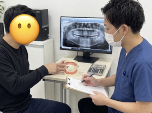 仙台市宮城野区のしらとり歯科医院にて、インプラント学会専門医がCT画像と顎模型を用いて患者様に精密なカウンセリングを行っている様子。
